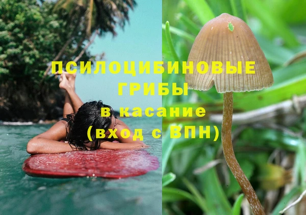 бошки Майский