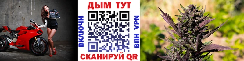 Шишки марихуана индика  Купить закладки  Анжеро-Судженск 